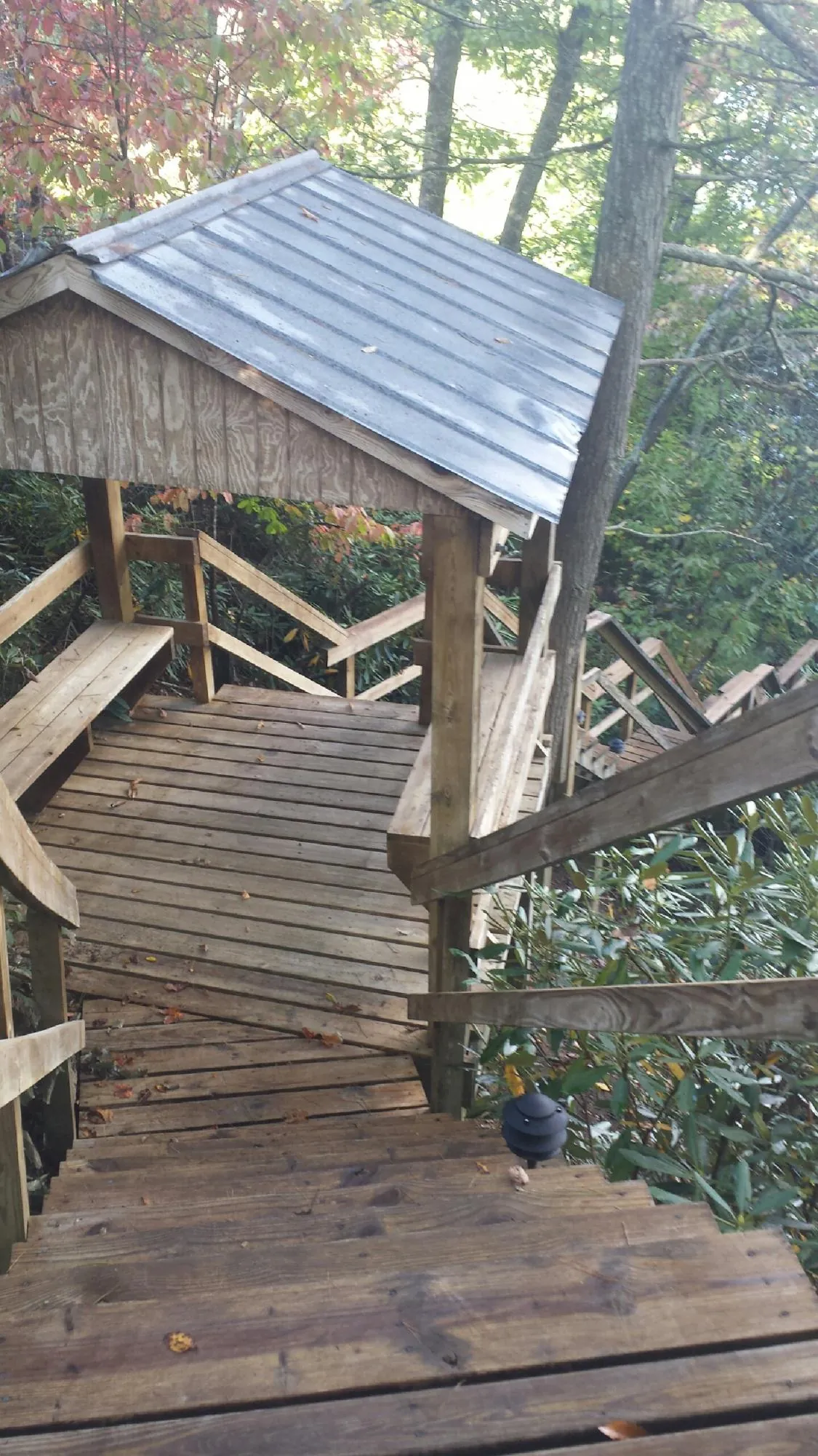 Metal roofed shelter over wooden steps on a wooded walkway — Skylight Repair & Installation work by our crew in Colquitt